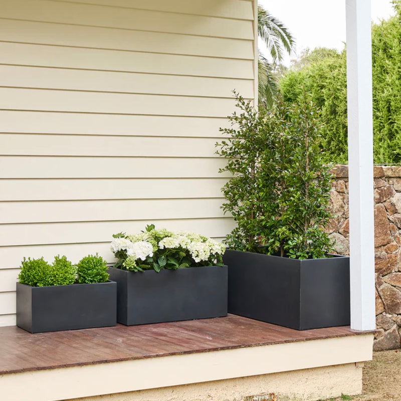 Asher Trough Java Small | Artificial Plants Australia | Plant Image