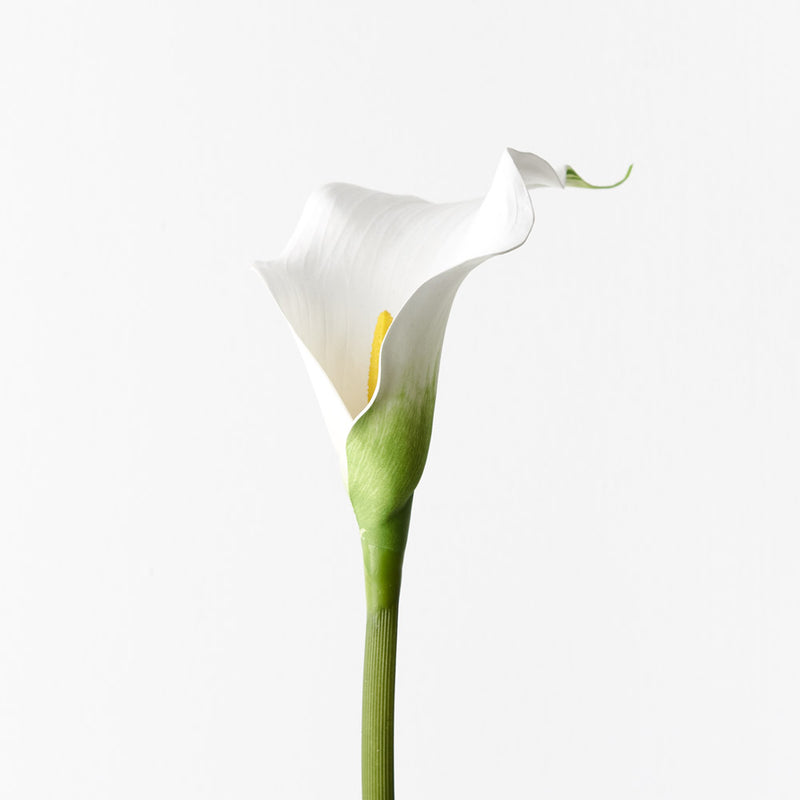 Calla Lily White | Artificial Plants Australia | Plant Image