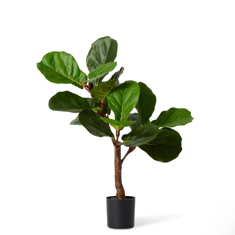 Fiddle Tree | Artificial Plants Australia | Plant Image