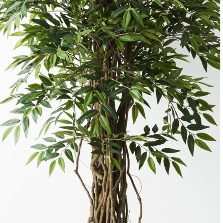 Ruus Tree Ruscus Tree | Artificial Plants Australia | Plant Image