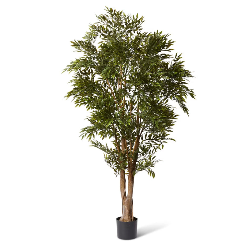 Ruscus Tree (Outdoor) | Artificial Plants Australia | Plant Image