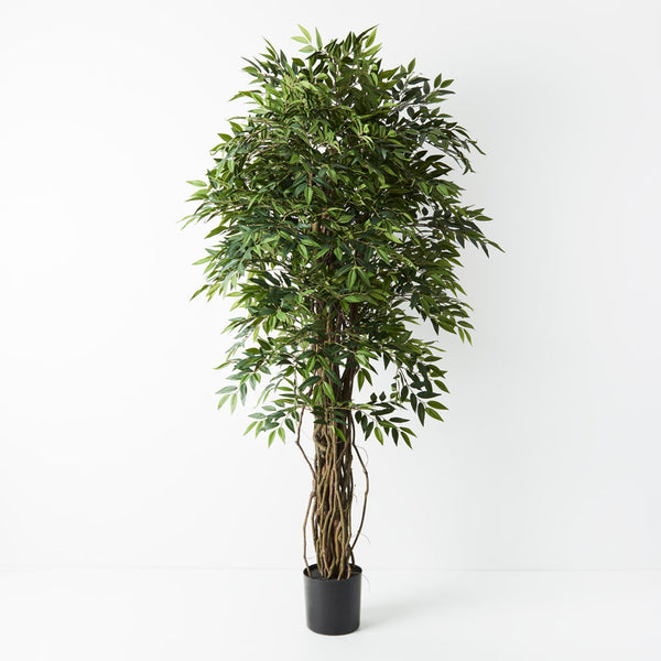 Ruscus Tree | Artificial Plants Australia | Plant Image