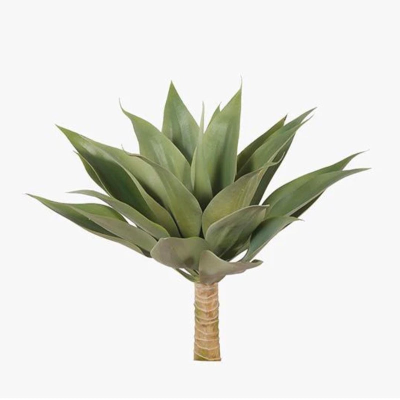 Agave – Green (45cm)
