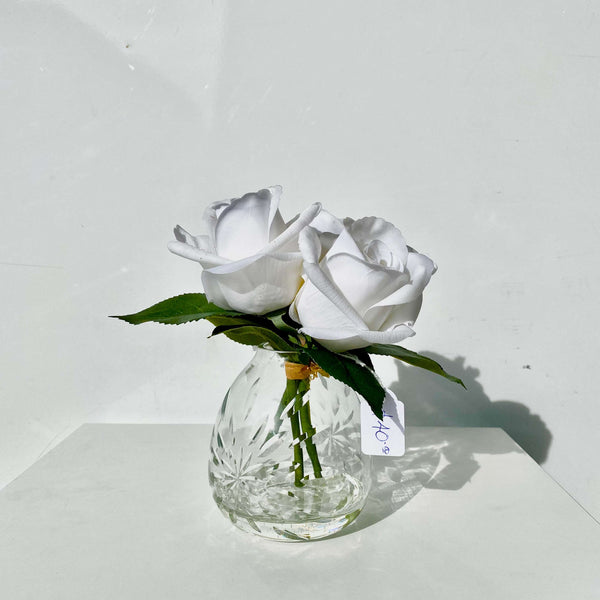 WHITE ROSE ARRANGEMENT – Plant Image