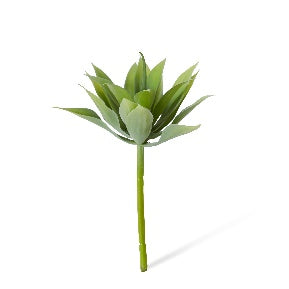 Agave Mini – Grey Green (12cm)