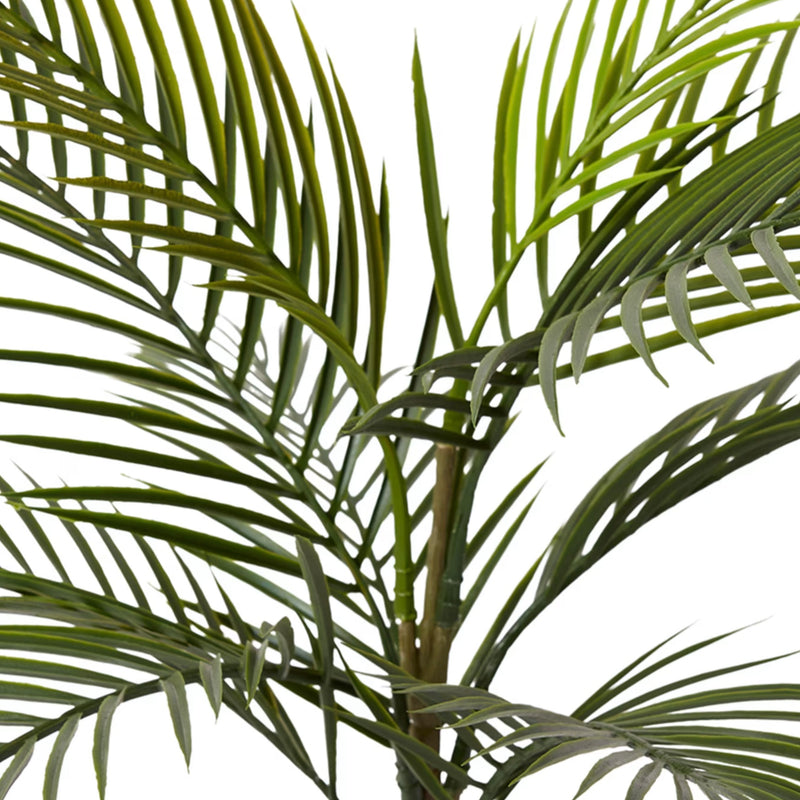 Areca Palm – Green | Pre-Potted in Garden Pot
