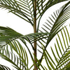 Areca Palm – Green | Pre-Potted in Garden Pot