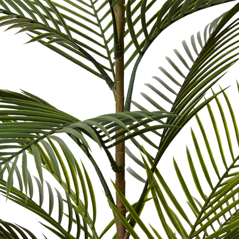 Areca Palm – Green | Pre-Potted in Garden Pot
