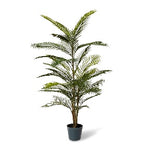 Areca Palm – Green | Pre-Potted in Garden Pot