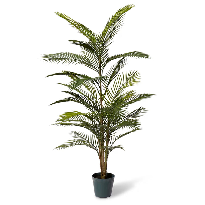 Areca Palm – Green | Pre-Potted in Garden Pot