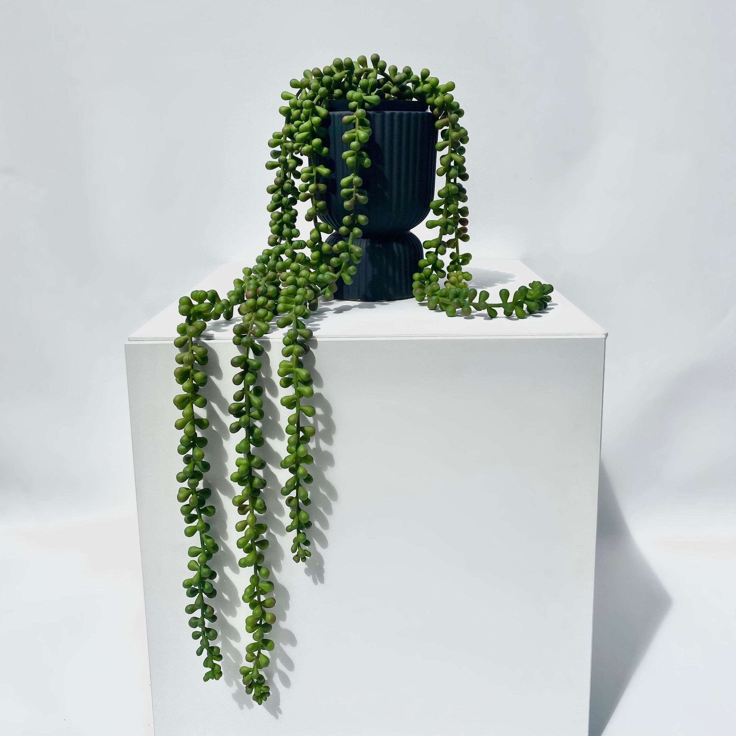 faux string of pearls plant in pot String of Pearls Potted Plant | Artificial Indoor Plant | Artificial Plants Australia