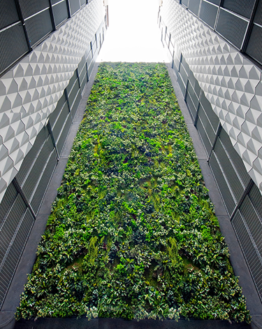 Outdoor UV treated vertical garden wall installation in Fed Square