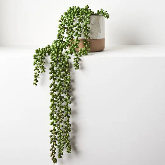 faux string of pearls plant in pot String of Pearls Potted Plant