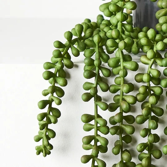 artificial string of pearls succulent String of Pearls Potted Plant